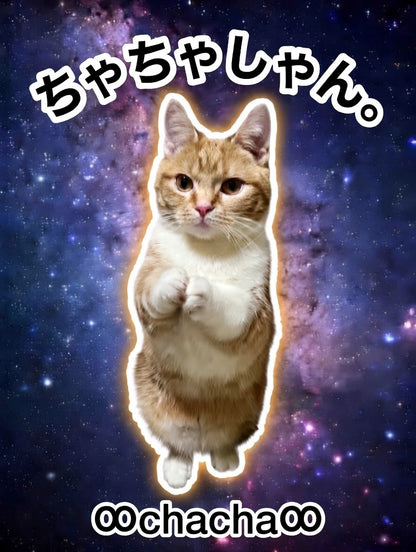 ちゃちゃしゃん。マグカップ