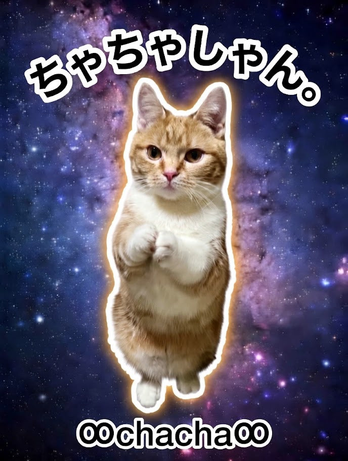 ChaCha-Shan ちゃちゃしゃん。マグカップ 11oz｜宇宙デザイン セラミック