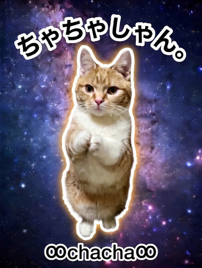 ChaCha-Shan ちゃちゃしゃん。マグカップ 11oz｜宇宙デザイン セラミック